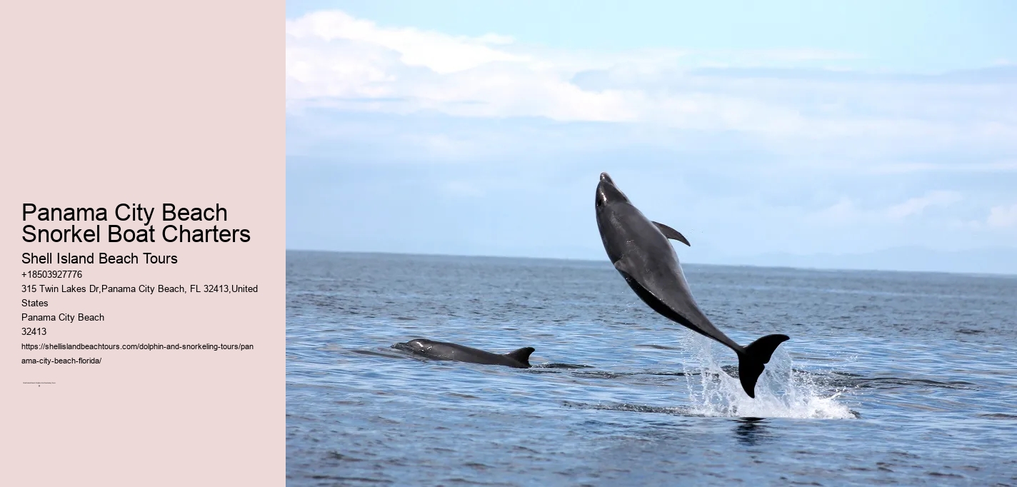 Panama City Beach Snorkel Boat Charters