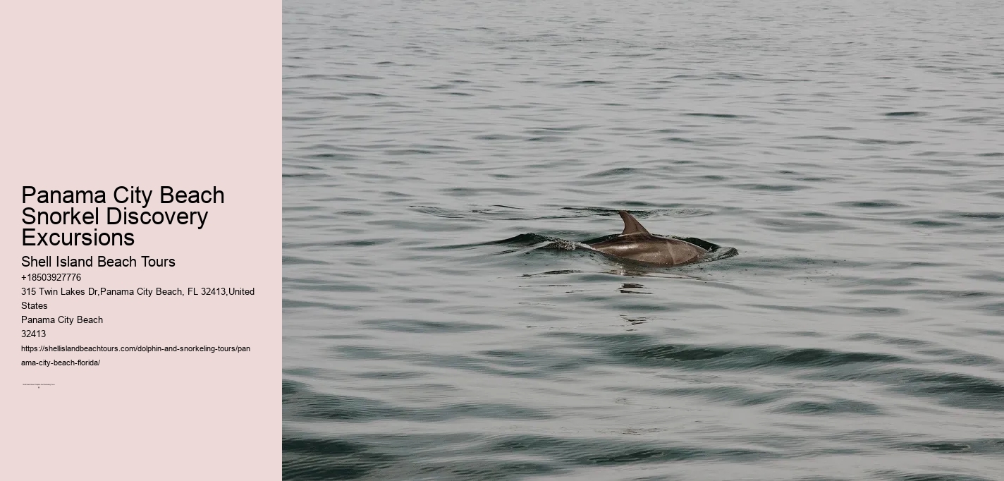 Panama City Beach Snorkel Discovery Excursions