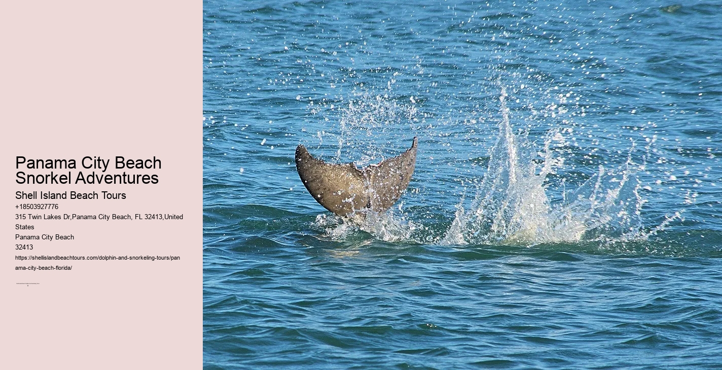 Snorkeling Adventures Departing From Panama City Beach