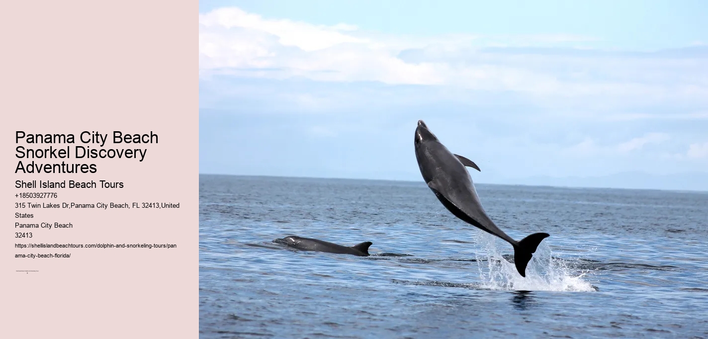 Panama City Beach Snorkeling Tours End