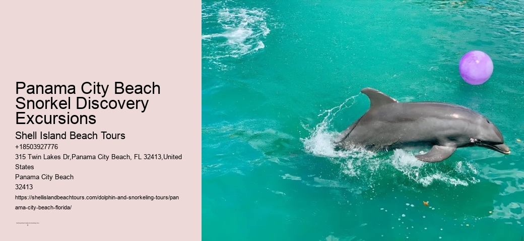 Panama City Beach Snorkel Discovery Tours