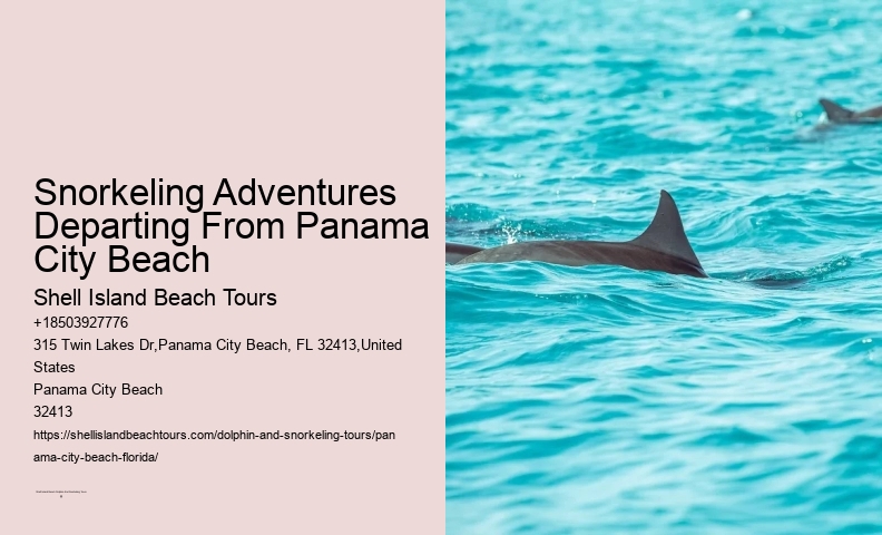 Panama City Beach Snorkel Exploration Outings