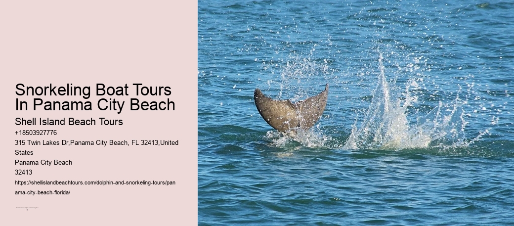 Snorkeling Boat Tours In Panama City Beach