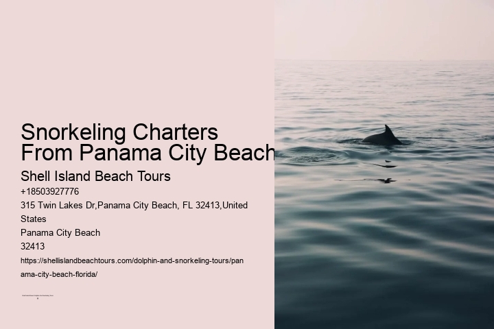 Snorkeling Charters From Panama City Beach