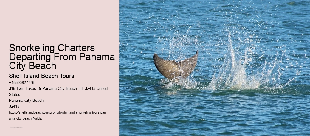 Snorkeling Charters Departing From Panama City Beach