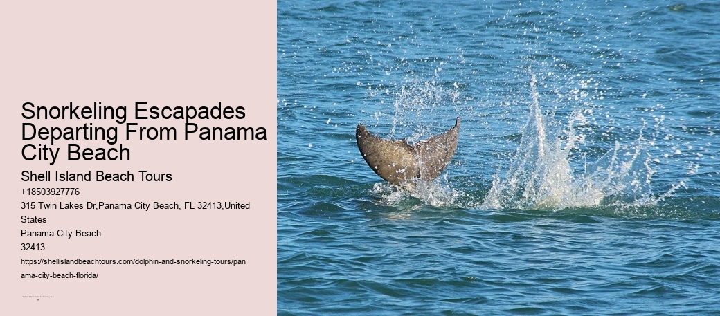 Snorkeling Escapades Departing From Panama City Beach
