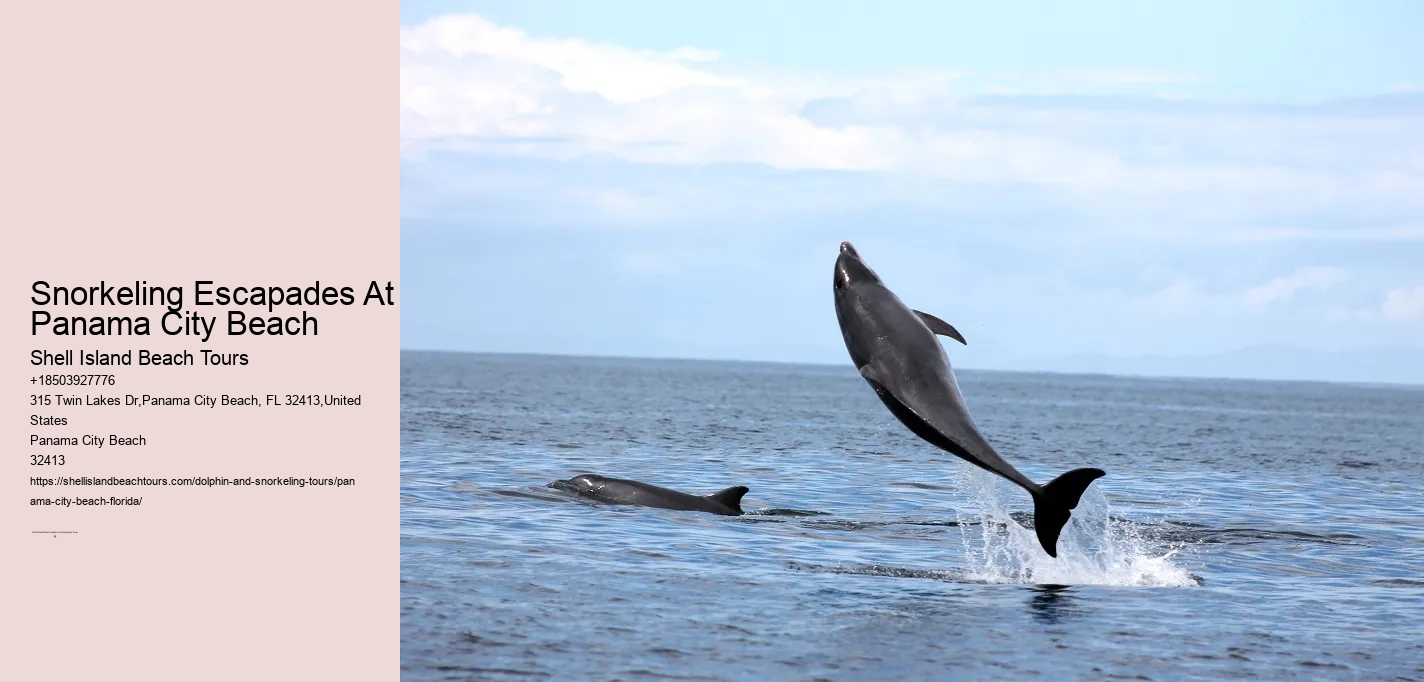 Panama City Beach Snorkeling Tours West Palm Beach