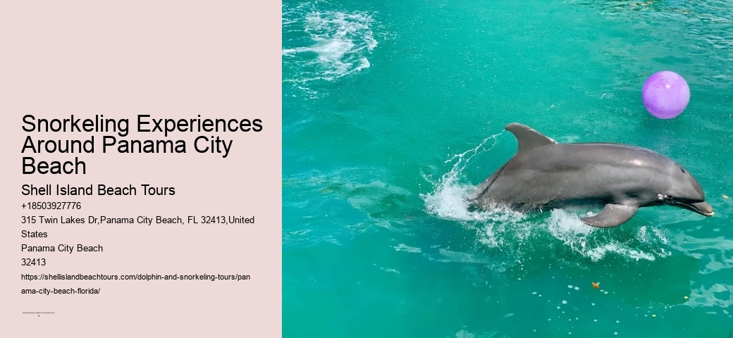 Panama City Beach Snorkeling Tours Washington Dc