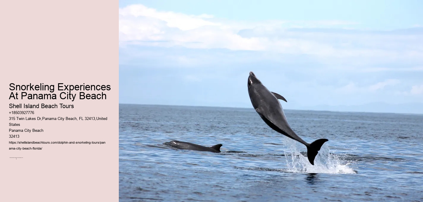 Panama City Beach Snorkeling Tours Marathon Fl