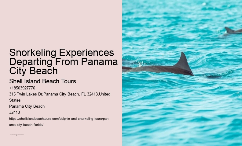 Snorkel Sightseeing Cruises In Pcb