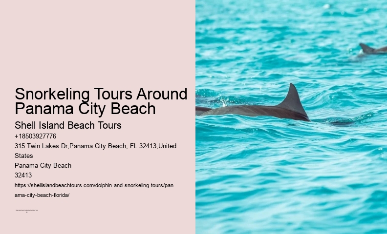 Panama City Beach Snorkeling Tours