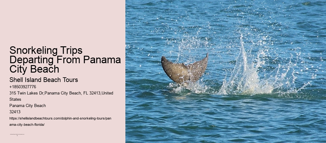 Panama City Beach Snorkel Exploration Charters